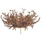   Copper and Burgundy Berries Ice Hurricane Candle Holder Centerpiece