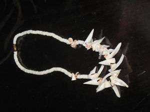 CORAL TYPE SHELL NECKLACE w/ SHARKS TOOTH HIGHLIGHTS  