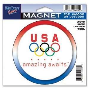 USA Olympics Set of 2 Indoor / Outdoor Magnets  Kitchen 