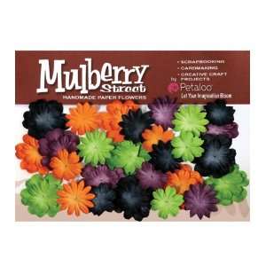  Mulberry Street Paper Mini Delphiniums   Orange/Purple/Black 
