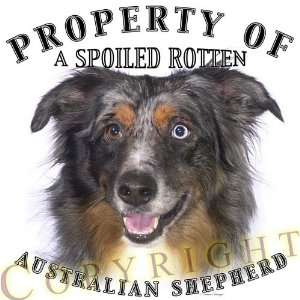 Australian Shepherd dog breed THROW PILLOW 16 x 16:  Home 
