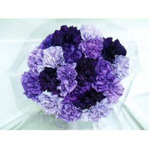 20 Fresh cut Mixed Purple Carnations (advance ordering recommended 