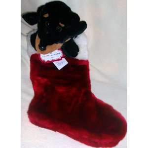   Holiday, Santa Sock, Plush Puppy Dog, Decorative: Everything Else