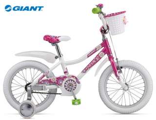 NEU! GIANT Puddin Alu 16 Zoll Kinderrad Fahrrad Weiß Pink APOLDA 