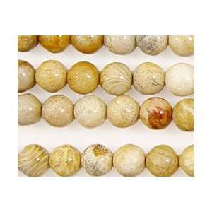  Fossil Coral Beads Round 8mm Arts, Crafts & Sewing