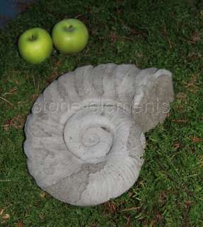 Ammonit Fossile original englischer Sandstein 30 cm 5 kg Steinammonit 
