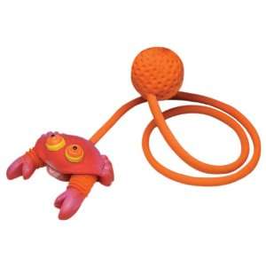    Pennplax Latex Action Frog Air Jumper Dog Toy: Pet Supplies