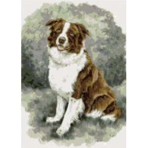    Border Collie Brown Dog Counted Cross Stitch Kit: Everything Else
