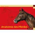  Atlas der Anatomie des Pferdes Lehrbuch für Tierärzte 