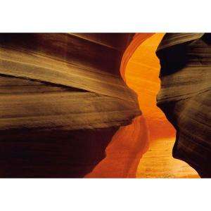 National Geographic 6 Ft. X 4 Ft. 2 In. Side Canyon Wall Mural 1 603 