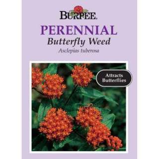 Burpee Butterfly Weed Asclepias Seed 41772  