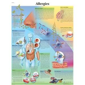 Allergies 20 x 26 in.   Paper version  Industrial 