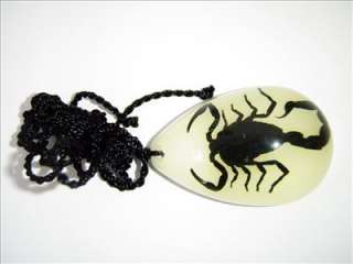 Insect Necklace   Black Scorpion Specimen (Glow)  