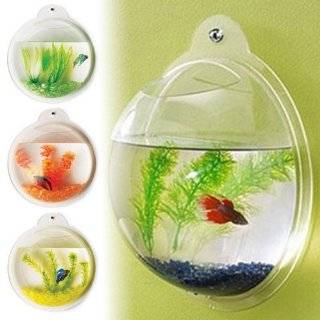 Fish Bubble   Deluxe Acrylic Wall Mounted Fish Tank w/Bonuses by Fish 