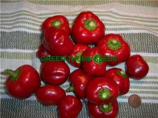 Sweet Cherry Pepper Seeds, YUMMY Heirloom (V0081)  