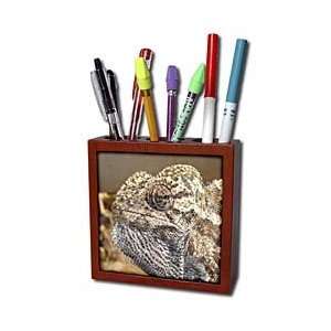 Taiche Photography   Reptiles Chameleon   Tile Pen Holders 5 inch tile 