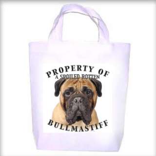 great tote bag for dog toys, shopping, books, the beach or whatever