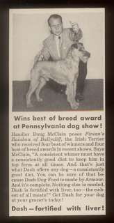 1951 champion Irish Terrier photo Dash dog food print ad  