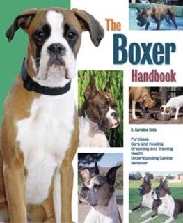 boxers for dummies by richard beauchamp $ 10 65