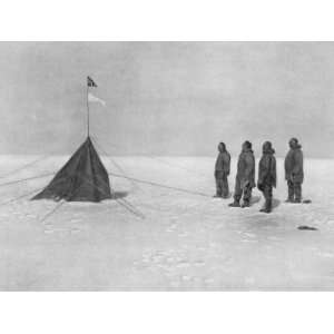 Roald Amundsen the First to Reach the South Pole Did So Premium 