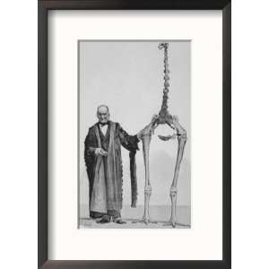  Sir Richard Owen Poses Beside the Skeleton of a Moa Framed 