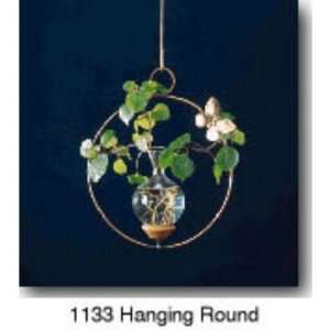  Hanging Round Plant Rooter Patio, Lawn & Garden