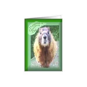  Woodchuck, Groundhog Day Happiness Card Health & Personal 