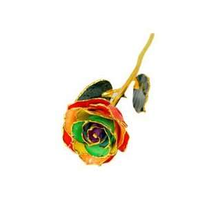  Gold Dipped Gypsy Rainbow Rose