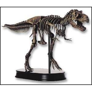   Tyrannosaurs Rex Dinosaur Skeleton Model (Scale 1+20) 