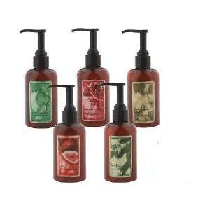 WEN by Chaz Dean Set of Five Cleansing Conditioners   Cucumber Aloe 