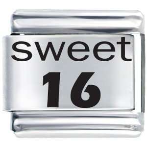  Laser Sweet 16 Italian Charms Pugster Jewelry