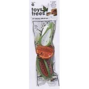   JW Pet Small Animal Chew Toy From Trees Fruits Small 2 Pieces: Pet