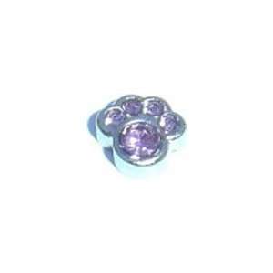   Pink Alexandrite Paw Print Birthstone Floating Charm for Heart Lockets