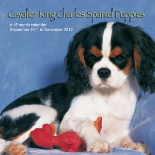 Cavalier King Charles Puppies 2012 Wall Calendar 1617910317  