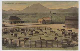 Western Ranch & Cattle Corral 1910s Colored Postcard. All items we 
