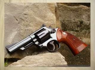 A1026 Pistol Smith Wesson Model 19 4 POSTER  
