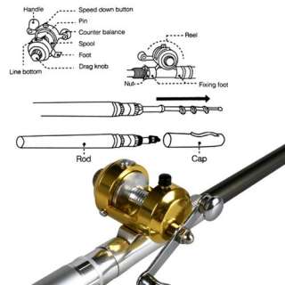 Mini Telescopic Reel Fish Rod Line Fishing 95cm Silver  