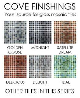 Red/Umber Glass Mosaic Tile Bathroom/Kitchen Backslpash Listello 