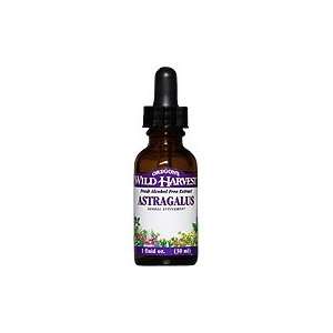  Astragalus Fresh Alcohol Free Extract   Supports The Body 